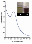 Figure 1. UV-visible absorption spectrum of gold nano-particles fabricated by D-glucose. The inset in this figure shows the vessels containing the reaction mixture before (A) and after reaction with D-glucose for 1 hr at room temperature (B)