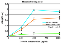Figure 6. Heparin binding assay of BMP-7-His and B2BMP-7. The results showed dose-dependent binding of commercial BMP-7-His and its mutant to heparin. The background binding related to the non-heparin coated wells as negative control was considerably lower. Each absorbance value is the mean of triplicates shown±SD