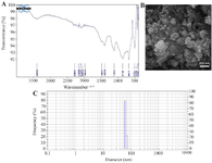 <p>Figure 3. ZnO NPs characterization; FTIR spectroscopy (A), SEM observations (B), and DLS hydrodynamic size distribution (C).</p>
