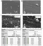 <p>Figure 2. Particle analysis of SEM images with exclusion of particles less than 0.2 <em>&mu;m</em>: A) sputtering at current intensity of 1 <em>A</em>; B) sputtering at current intensity of 2 <em>A</em>.</p>