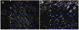 <p>Figure 4. Average roughness of samples (A) before sputtering (1.277 <em>&mu;m</em>); (B) after copper extraction (2.249 <em>&mu;m</em>).</p>