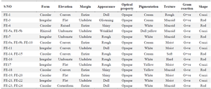 <p>Table 2. The Gram reaction, cellular and colonial morphology of phyllospheric organisms of <em>Funtumia elastic</em></p>
