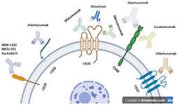 <p>Figure 1. Tumor associate antigens targeted for monoclonal antibody-based immunotherapy of chronic lymphocytic leukemia.</p>