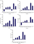 <p>Figure 1.&nbsp; Effect of various treatments on hWJMSCs-Sec toward growth factor proteins level.</p>
<ol>
<li>A) KGF, B) HGF, C) HB-EGF, D) PDGF, E) EGF. The data were presented as mean &plusmn; standard deviation. Different superscript letters on Figure A (a, b, c, cd, d, e, f), and B, C, D, E (a, b, c, d, e, f, g) showed significant differences among treatments at p&lt;0.05 (Data was analyzed using ANOVA followed by Tukey HSD post hoc test). Samples included hWJMSCs-Sec (S), Freeze-dried hWJMSCs-Sec (FDS), Freeze-dried Medium Basal (FDMB), Freeze-Dried hWJMSCs-Sec Gel (FDSG), and Freeze-dried Gel Based (FDGB). Number on samples indicate the ratio of gel to hWJMSCs-Sec, 1) 6 <em>g</em>: 3 <em>ml</em>, 2) 6 <em>g</em>: 4.5 <em>ml</em>, and 3) 6 <em>g</em>: 6 <em>ml</em>.</li>
</ol>