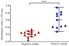 <p>Figure 3. Specific total <em>IgG</em> levels measured by ELISA. Control (negative) serum and serum of cattle with brucellosis (positive) in interaction with ABOR protein.</p>
