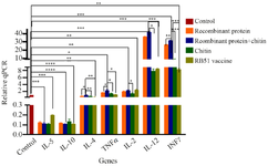 <p>Figure 4. Expression levels of cytokine genes. Cytokine mRNA transcriptions levels after injection of ABOR recombinant protein and chitin, RB51 vaccine, Recombinant protein, Chitin, and PBS (control) were compared. (p&lt;0.05). The 2 <sup>&ndash;∆∆Ct</sup> method was used. A higher IFN-gamma: IL-4 ratio (p=0.04) was found in ABOR protein+chitin group compared to controls. This group also displayed higher mRNA levels of IL-12 (p=0.03), but not IL-4 and IL-10. IFN-gamma expression in ABOR protein+chitin group, but not controls, correlated strongly with IL-12 level.</p>