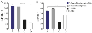 <p>Figure 6. The ratio of the expressed cytokines in different experimental groups. The ratio of IFN-<em>&gamma; </em>to IL-10(I), and IL-4(II) after immunization of guinea pigs.</p>
<p>A: ABOR protein and Chitin. B: ABOR protein. C: Chitin. D: RB51 vaccine.</p>